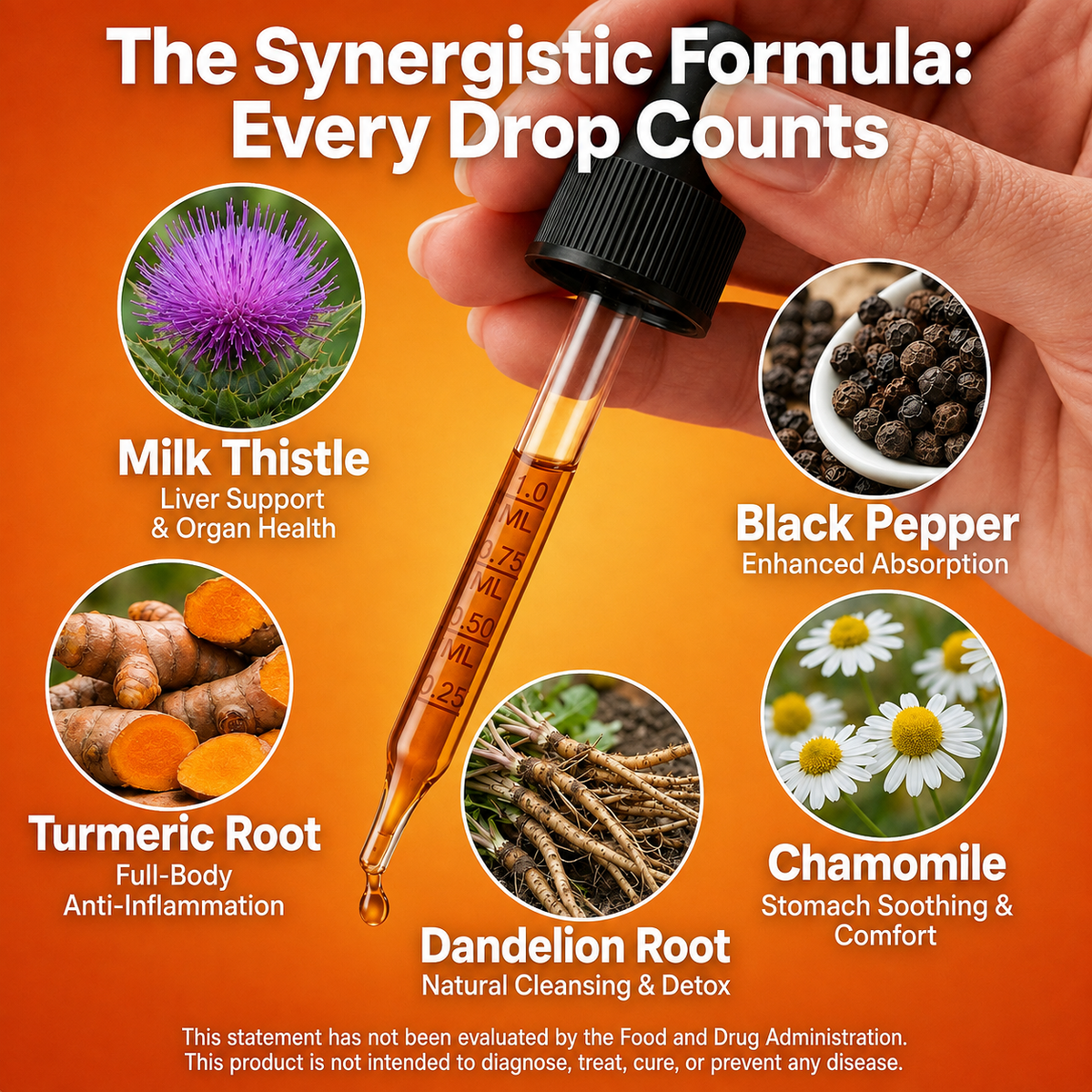 HerbaWell Turmeric Curcumin Extract Drops